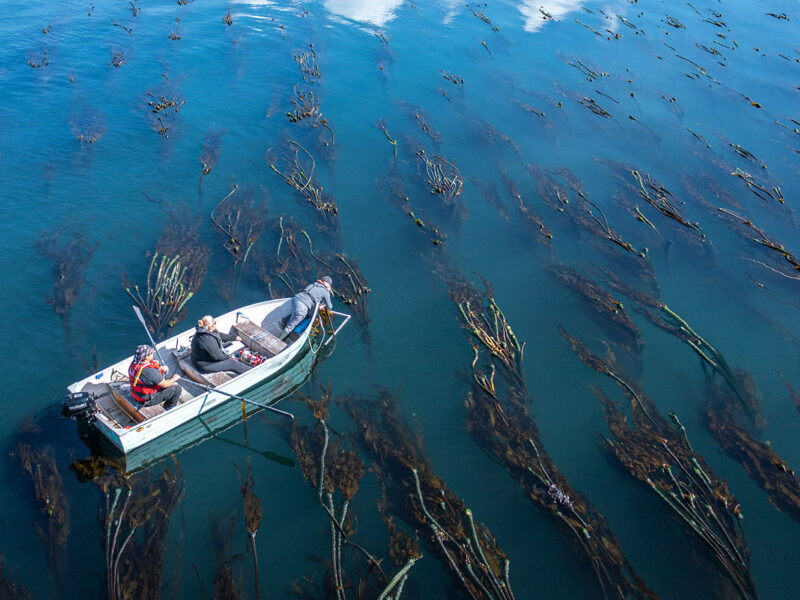 Fishing near coastal waters.