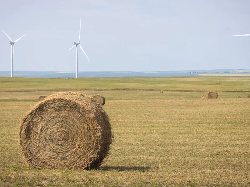 Chill on renewables investment in Alberta after government freeze