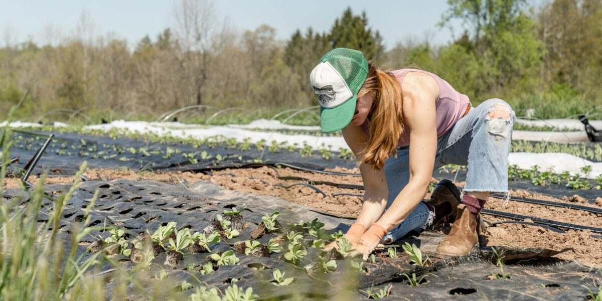 Next-year country and on-farm anxiety