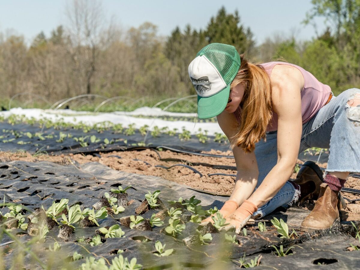 Next-year country and on-farm anxiety