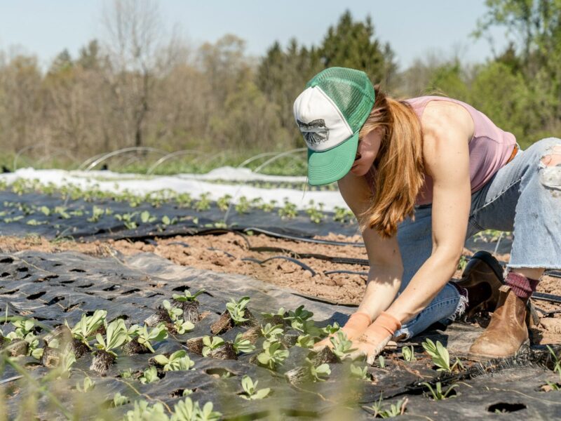 A farmer hard at work in the field.