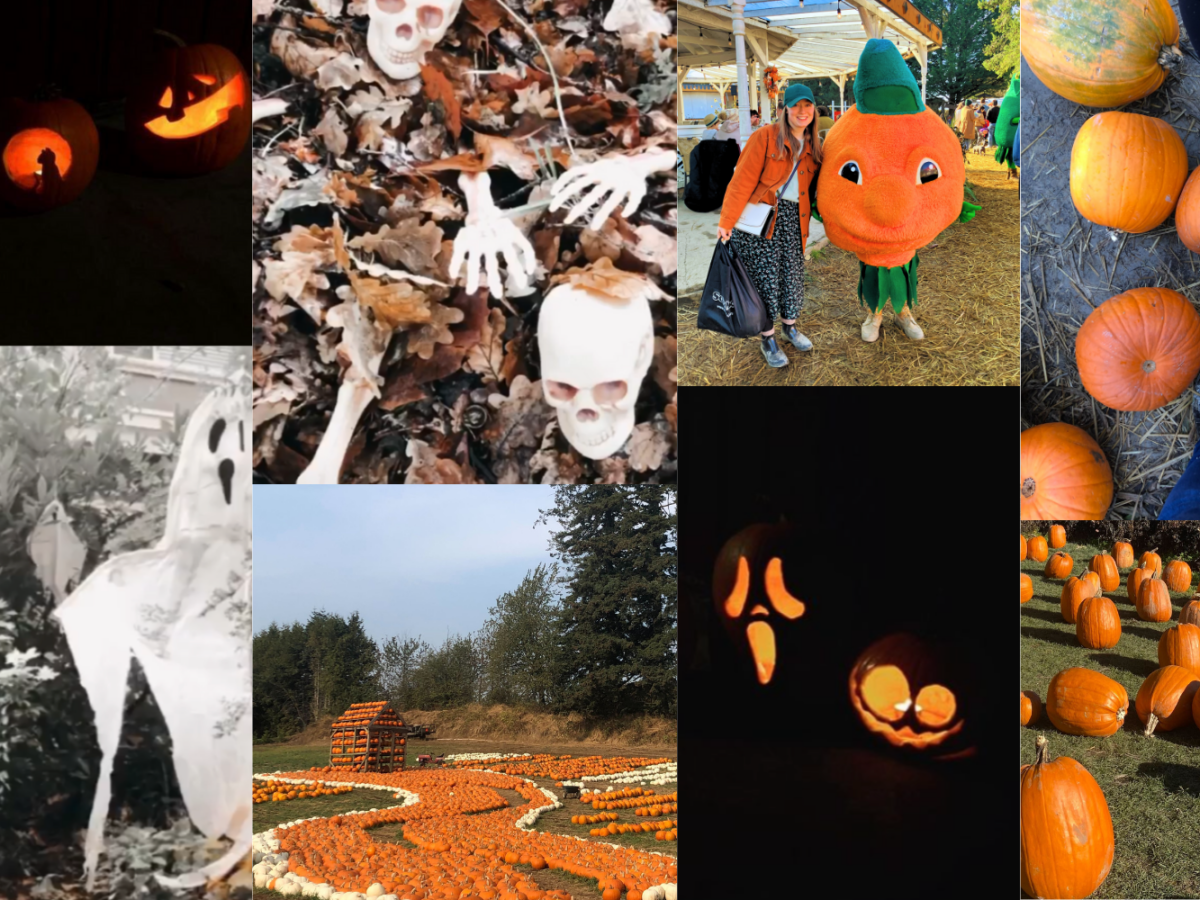 A collage of Halloween images such as jack-o-lanterns, leaves, pumpkins patches.