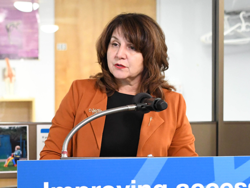 Health Minister Adriana LaGrange in Hinton on Oct. 3.