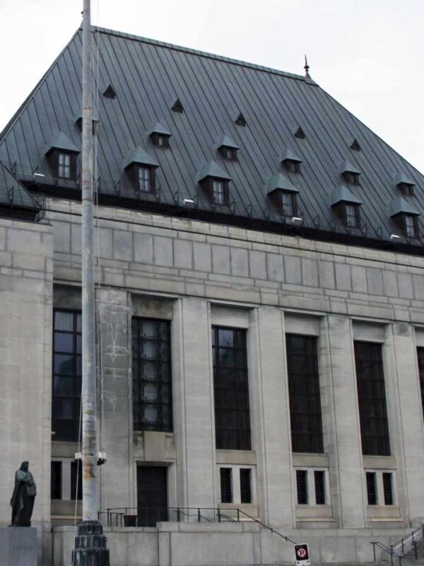 Recognizing family violence in civil courts could harm survivors of domestic violence, warns organization