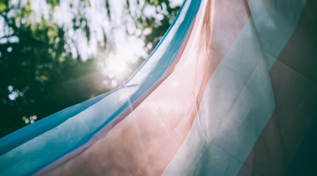 A trans flag flying in the wind.