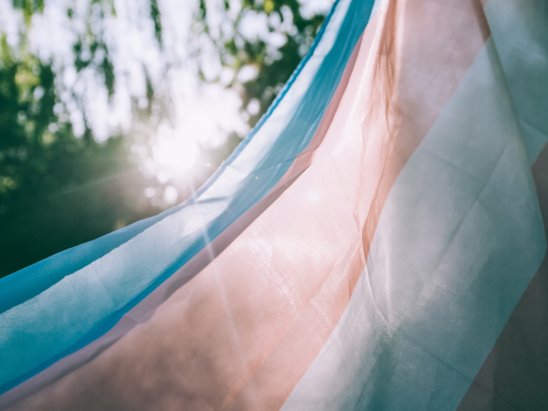 A trans flag flying in the wind.