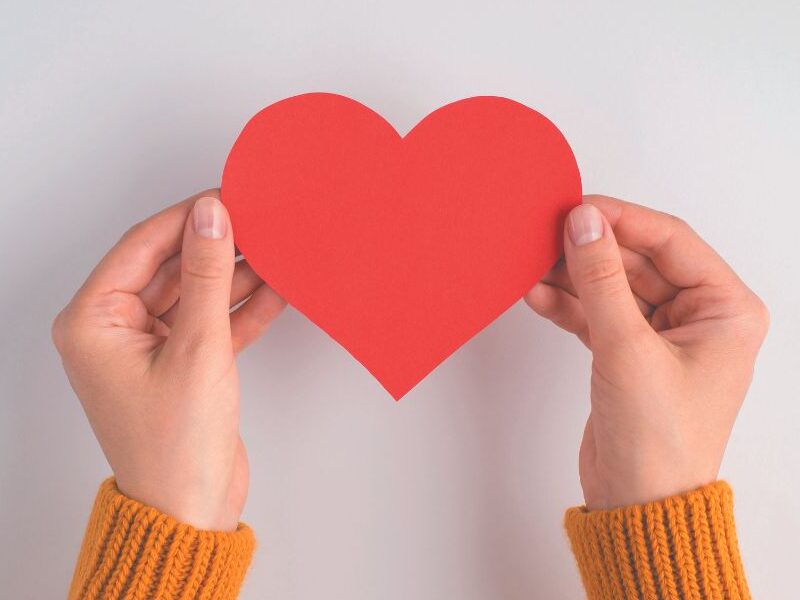 An image of two hands over a white background holding the sides of a paper heart. The team at Harrowsmith Magazine shared some ideas on where people can volunteer during the holiday season.