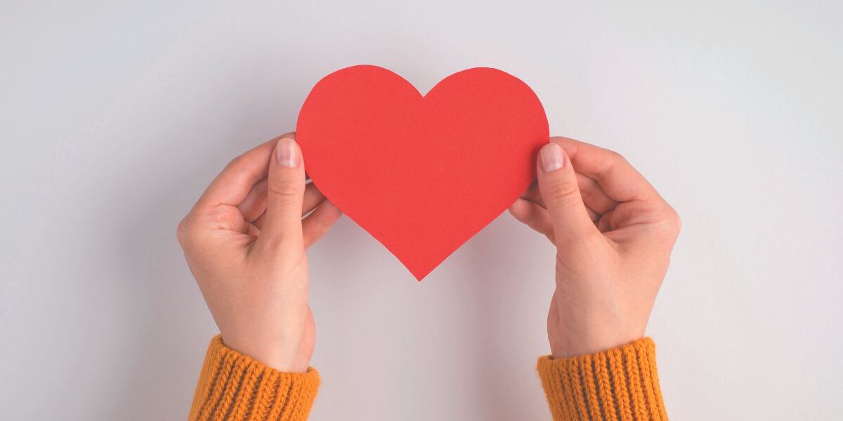 An image of two hands over a white background holding the sides of a paper heart. The team at Harrowsmith Magazine shared some ideas on where people can volunteer during the holiday season.