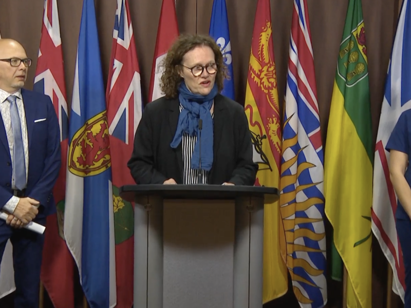 Steven Staples (left), Anne Lagacé Dowson and Dr. Melanie Bechard at a press conference in Ottawa on November 18, 2024.