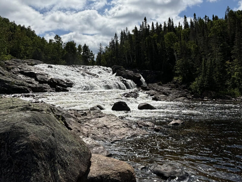 A river runs through a forest.