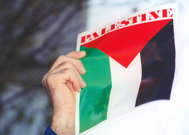 A hand holding up a Palestine flag.