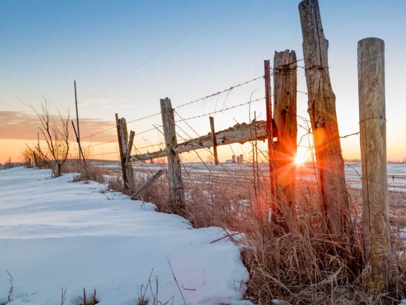 The sun rising over a farm in winter.