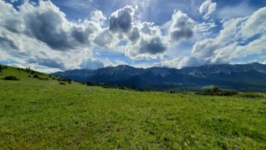 The baleful eye of the United Conservative Party has turned again to the Eastern Slopes of the Rocky Mountains, which they want to dig, baby, dig for coal