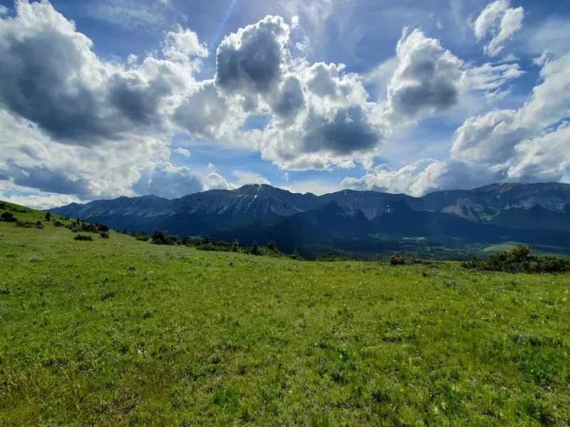 The baleful eye of the United Conservative Party has turned again to the Eastern Slopes of the Rocky Mountains, which they want to dig, baby, dig for coal