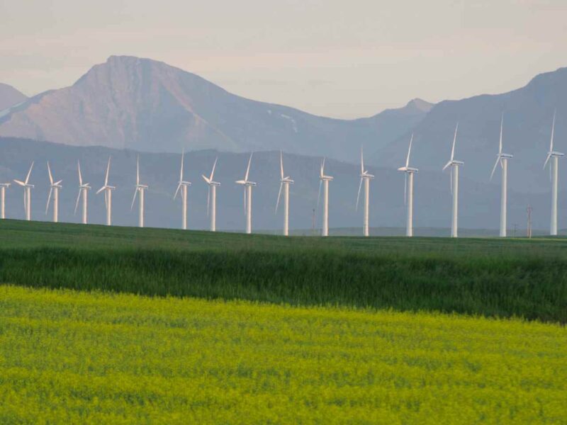 Alberta's Pincher Creek wind farm.