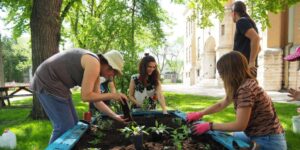 Butterflyway Winnipeg school planting.