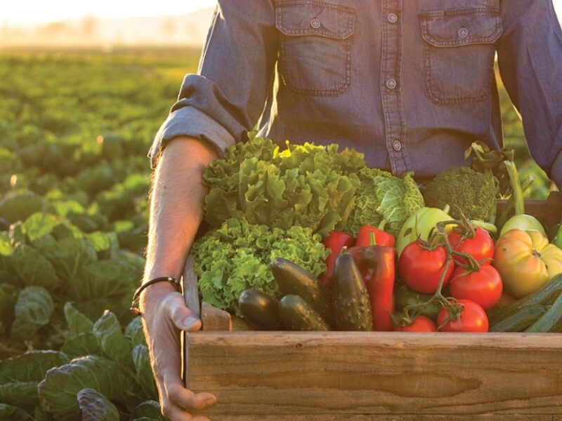An image of a farmer holding a box of produce. Community Supported Agriculture (CSA) helps farmers deliver produce straight to one's door.