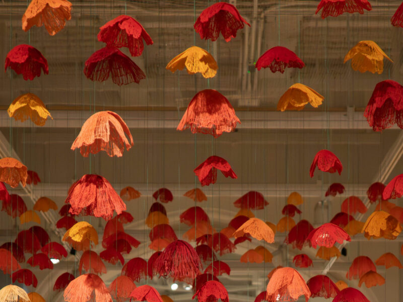 An art piece by Amanda McCavour, part of the Rewilding art exhibit at the Canadian Museum of Nature.