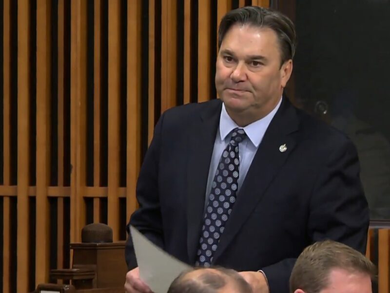 Interim NDP leader Don Davies.