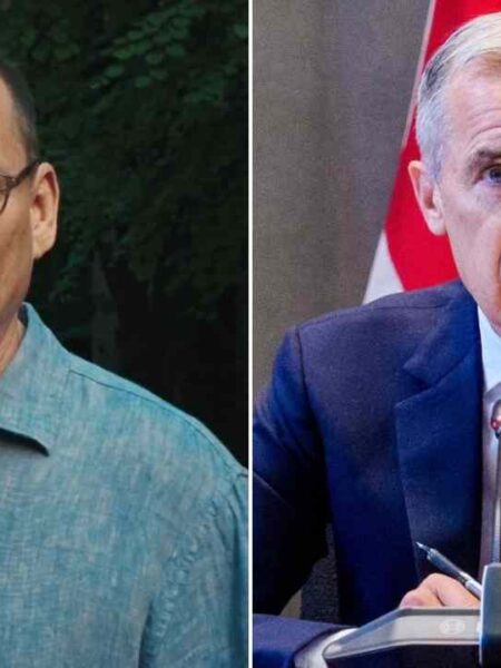 Left-wing populist Avi Lewis might be the answer to the banker Mark Carney