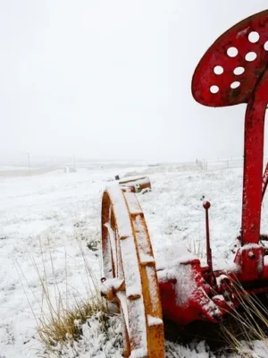 Covering news in food and agriculture in 2025