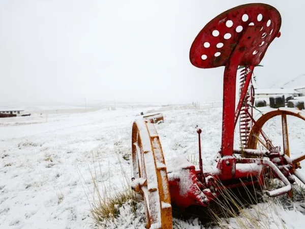 Covering news in food and agriculture in 2025