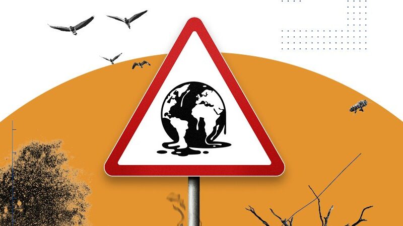 A graphic depicting global warming from the German Meteorological Society.