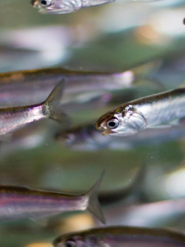 The power of awe: How nature can transform our perspective