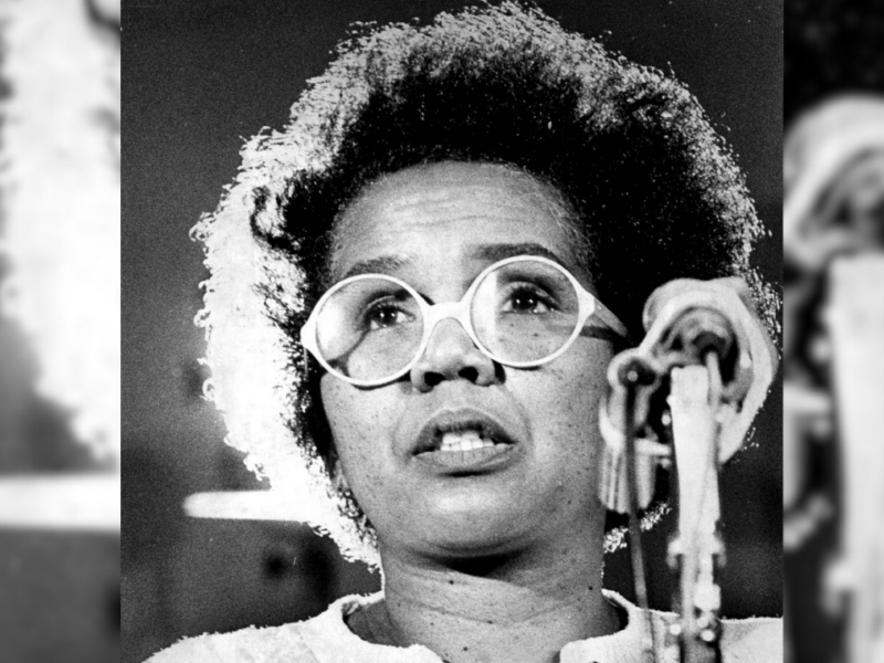 Would the NDP leadership block Rosemary Brown if she ran today?