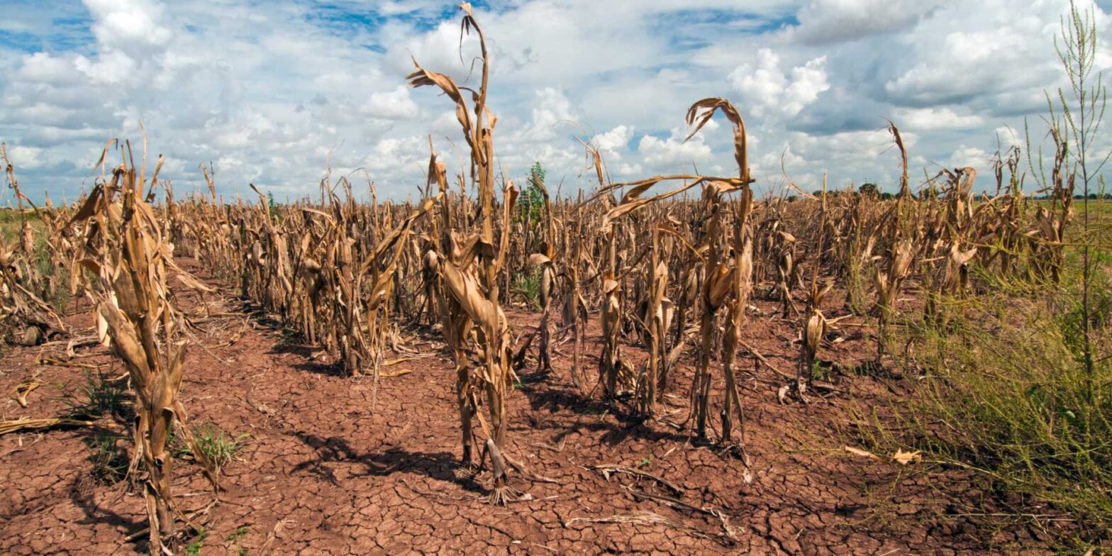 As the planet heats up, water worries worsen - rabble.ca