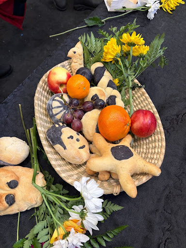 Memory, mourning and resistance in Tiziano Cruz’s “Wayqeycuna” - rabble.ca