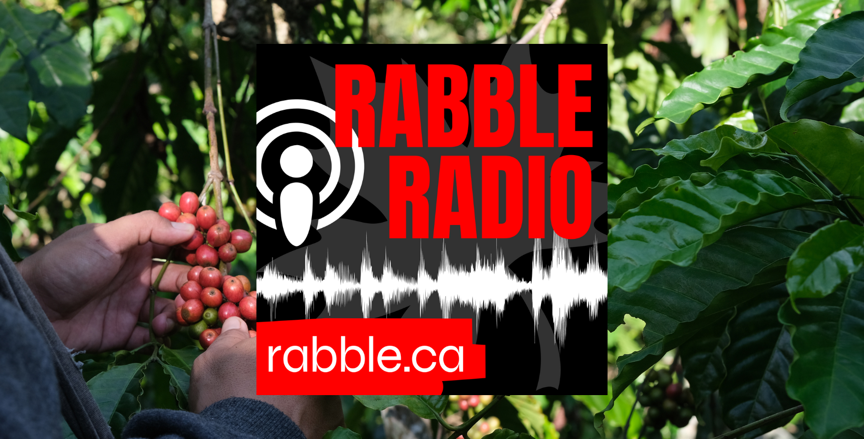 ‘Canada has a culture of silence. And we need to break that silence.’