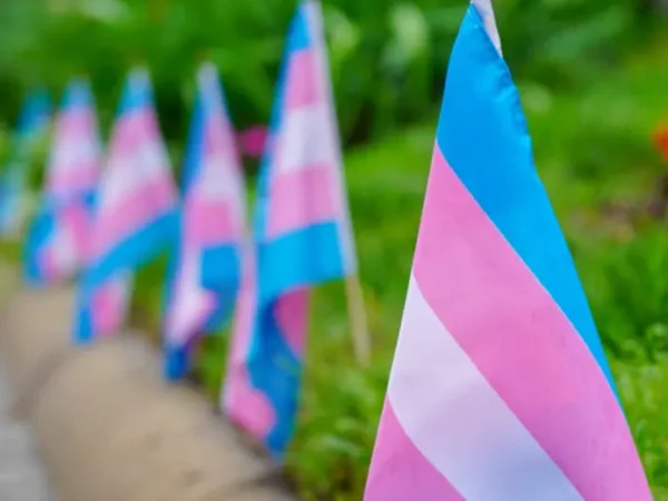 What good is Trans Day of Visibility in an age of Trans Hyper-Visibility?
