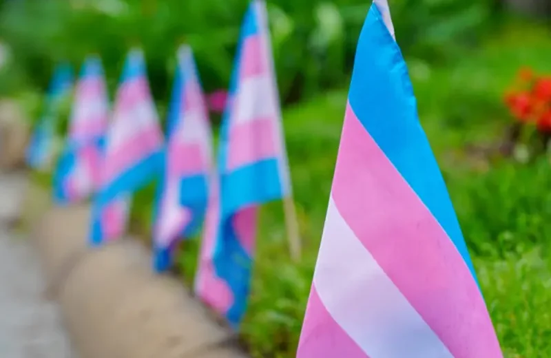A row of trans flags.