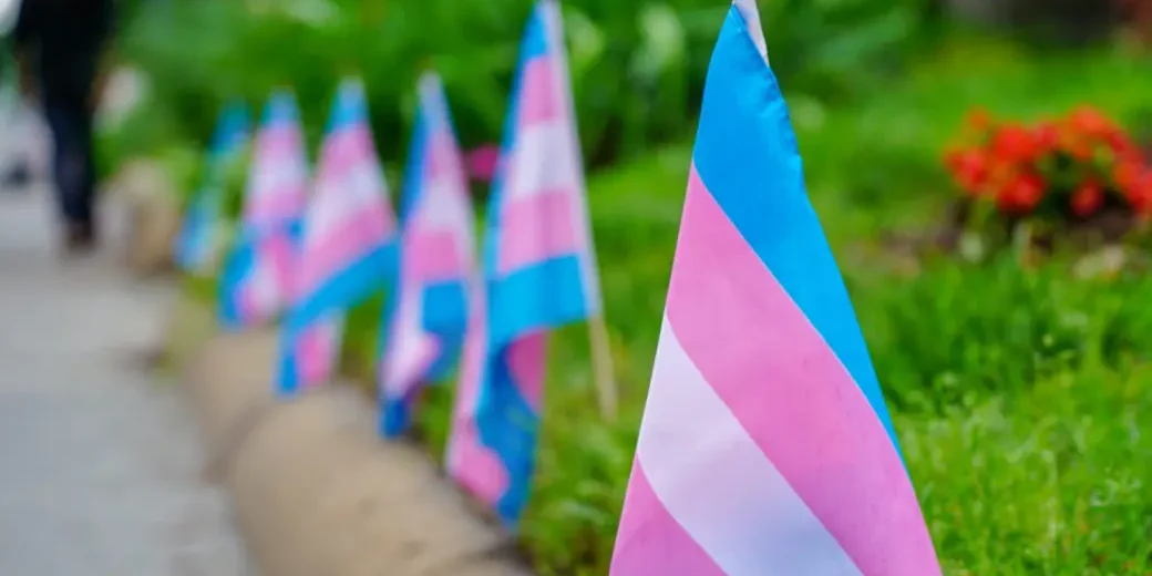 A row of trans flags.