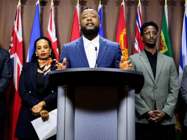 Newly formed national council is pushing for the modernization of the Employment Equity Act