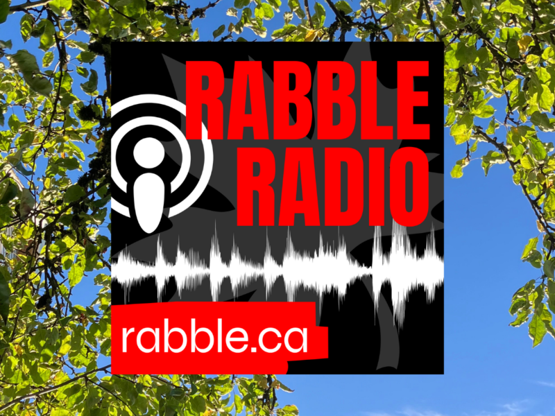 The nature that surrounds us