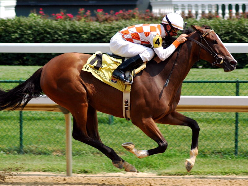 A jockey and his horse.