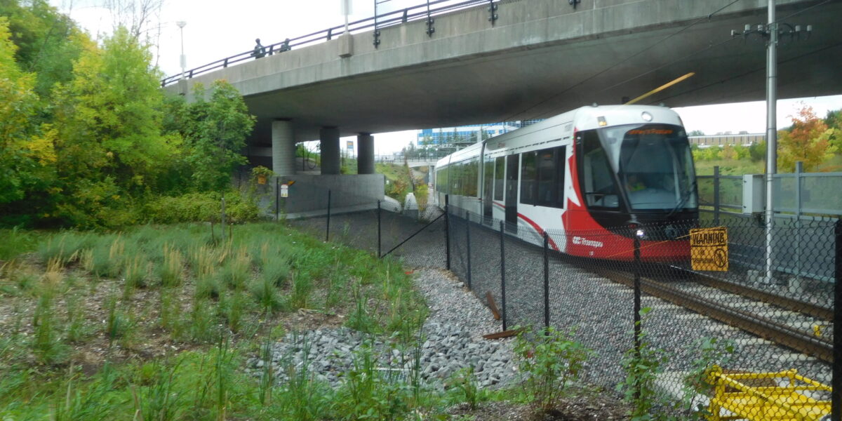 A train on Ottawa's light rail Confederation line.
