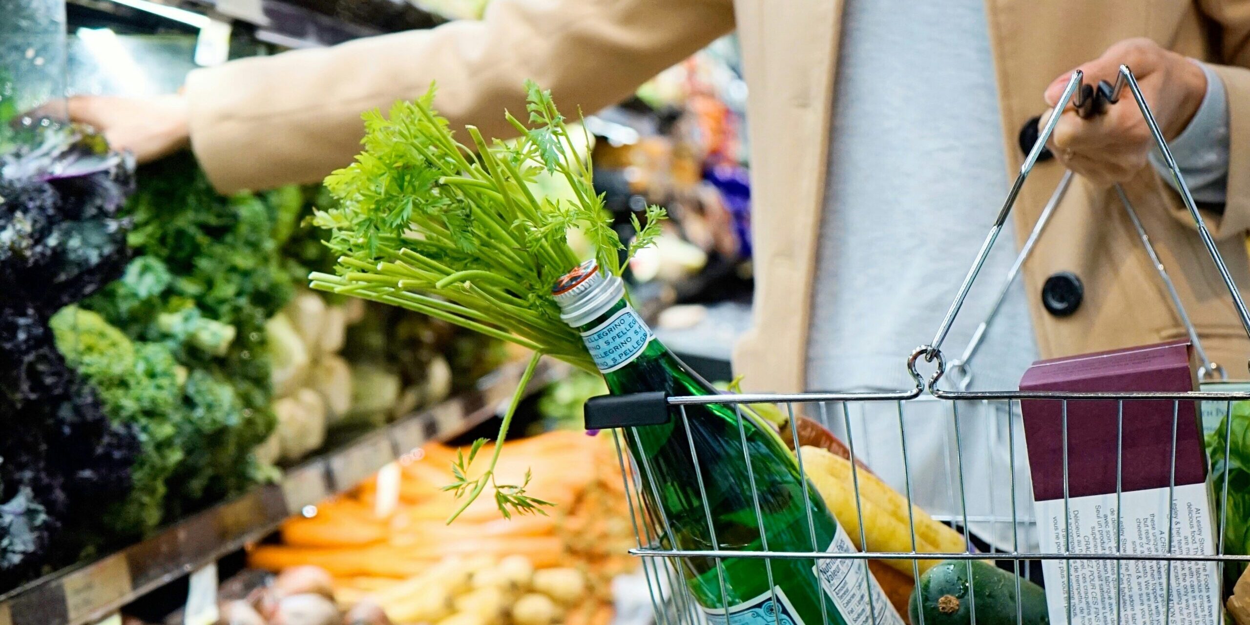 rabble.ca - More by Lois Ross - Fighter jets or affordable food - are public grocery stores really a thing!