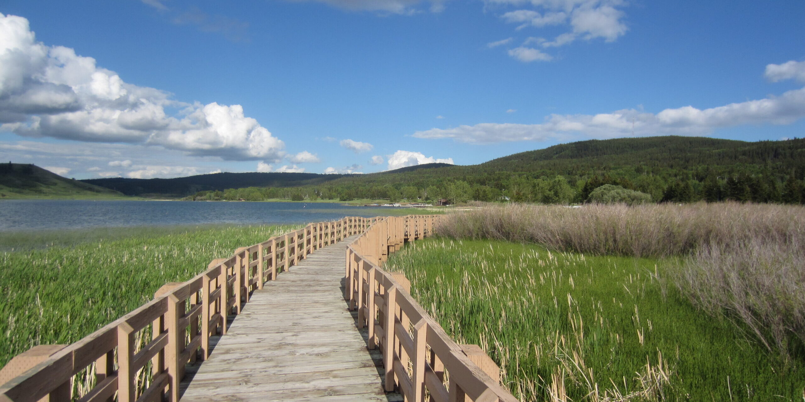 Protected area targets face potential pitfalls