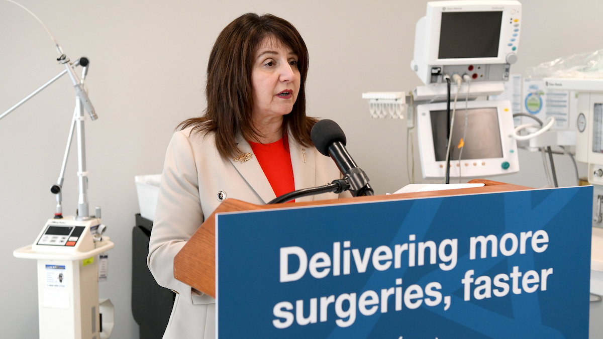 Albert pushes ahead with two-tier healthcare