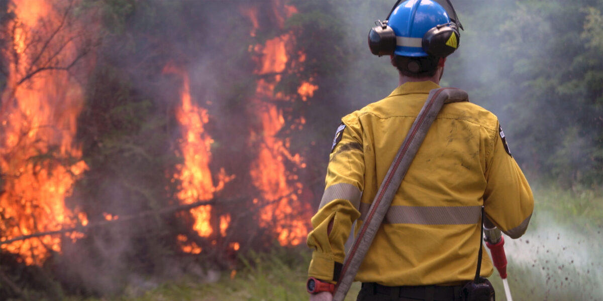 A wildland firefighter.