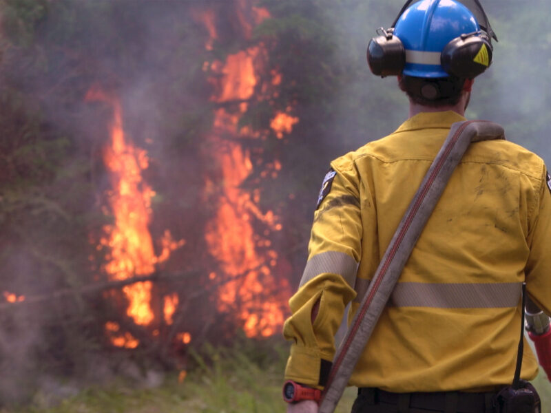 A wildland firefighter.