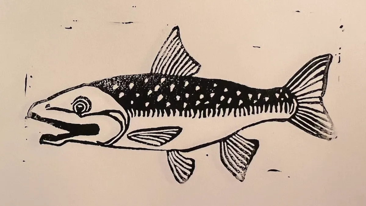 The endangered Bull Trout, Alberta’s official provincial fish.