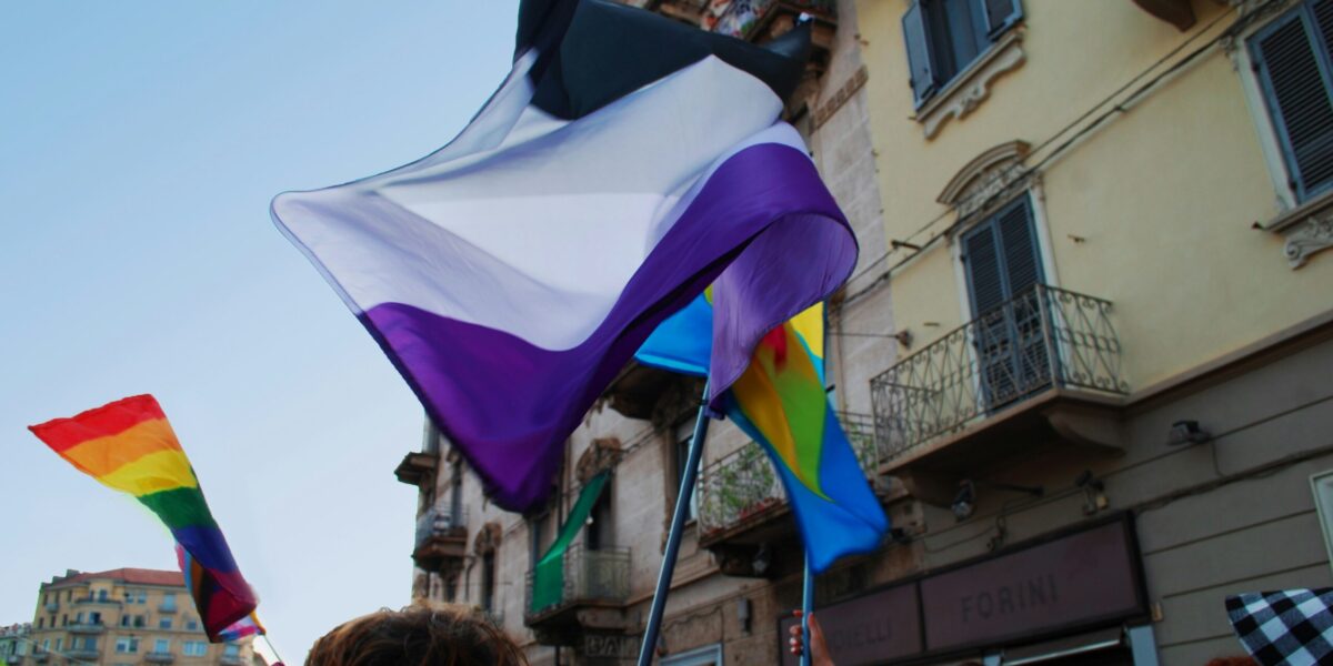 The purple and white asexuality flag.